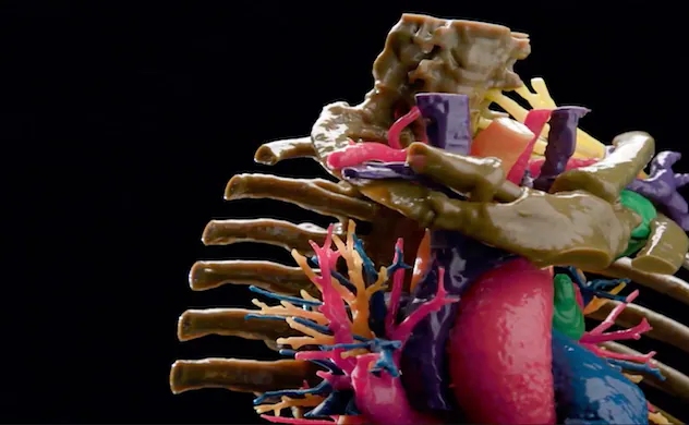 Modeling the Future: The Evolution of 3D Modeling 3